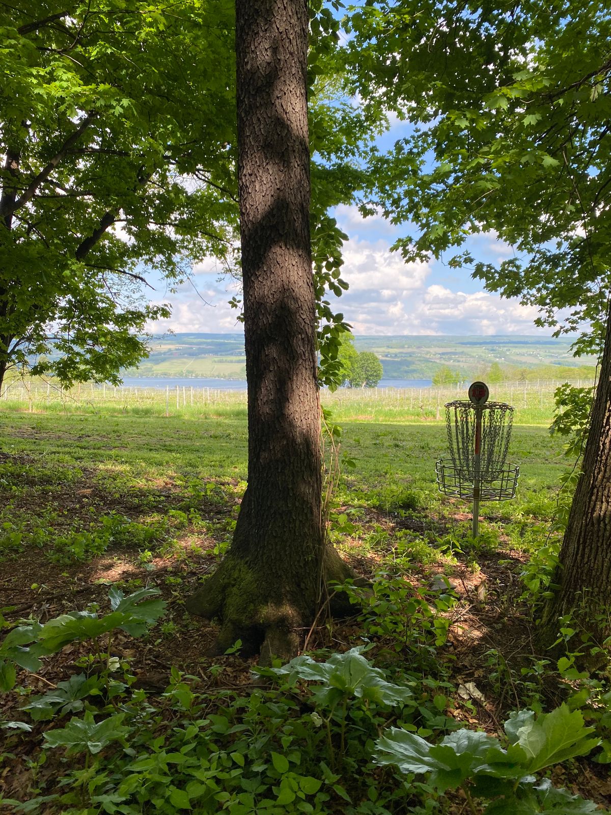 Top 10 Winery Disc Golf Courses