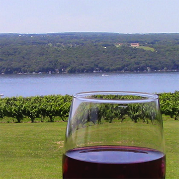 Catherine Valley Winery