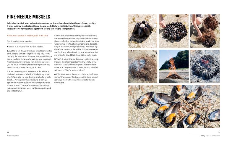 Book page with text and images of pine-needle mussels