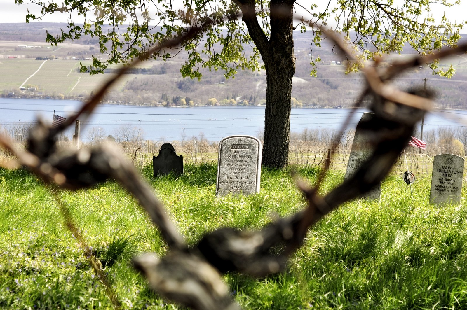 Graveyard with headstones in a grassy area near a body of water, with vineyard wire in the foreground.