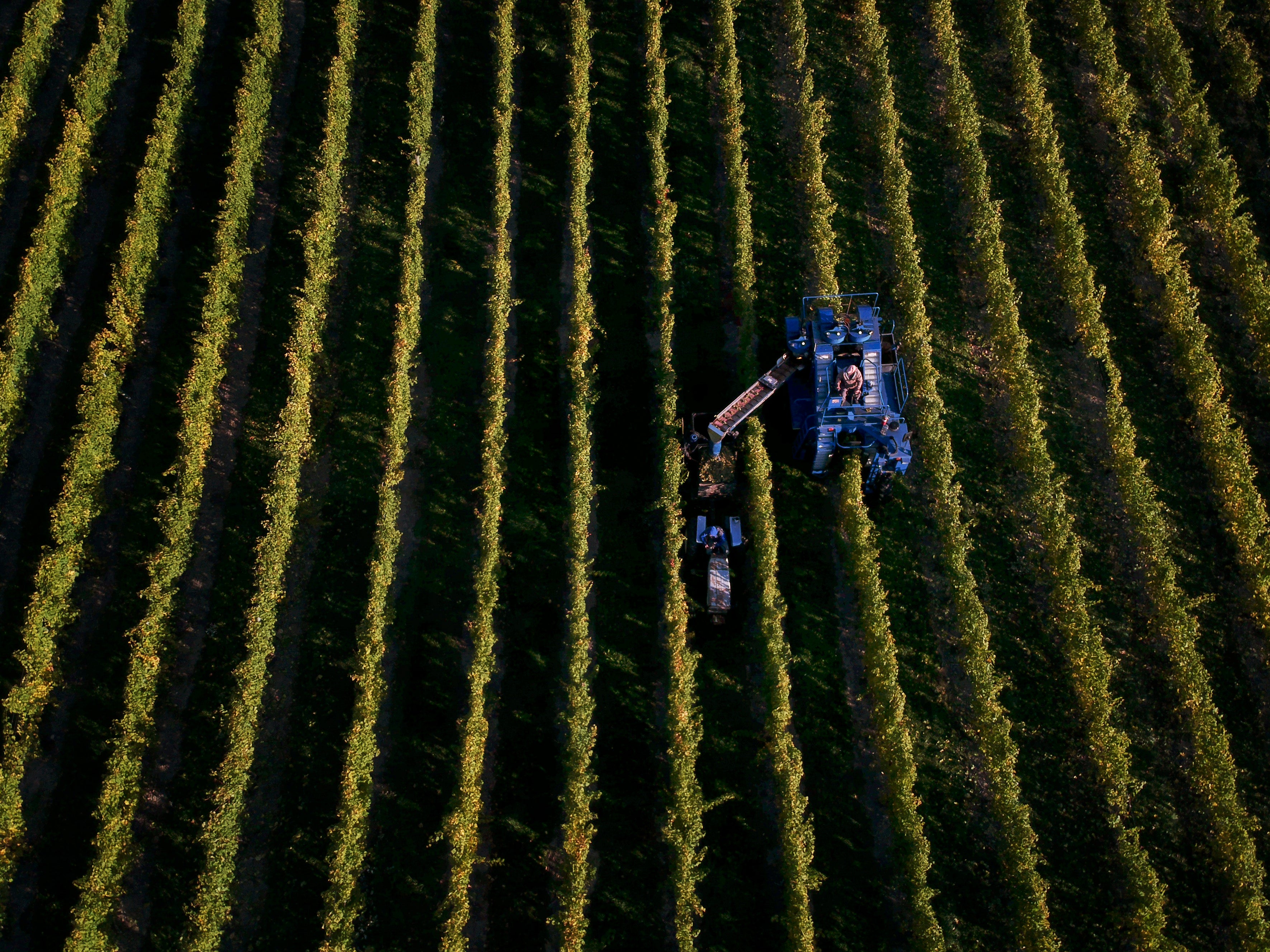 Aerial view of a tractor harvesting crops in a field