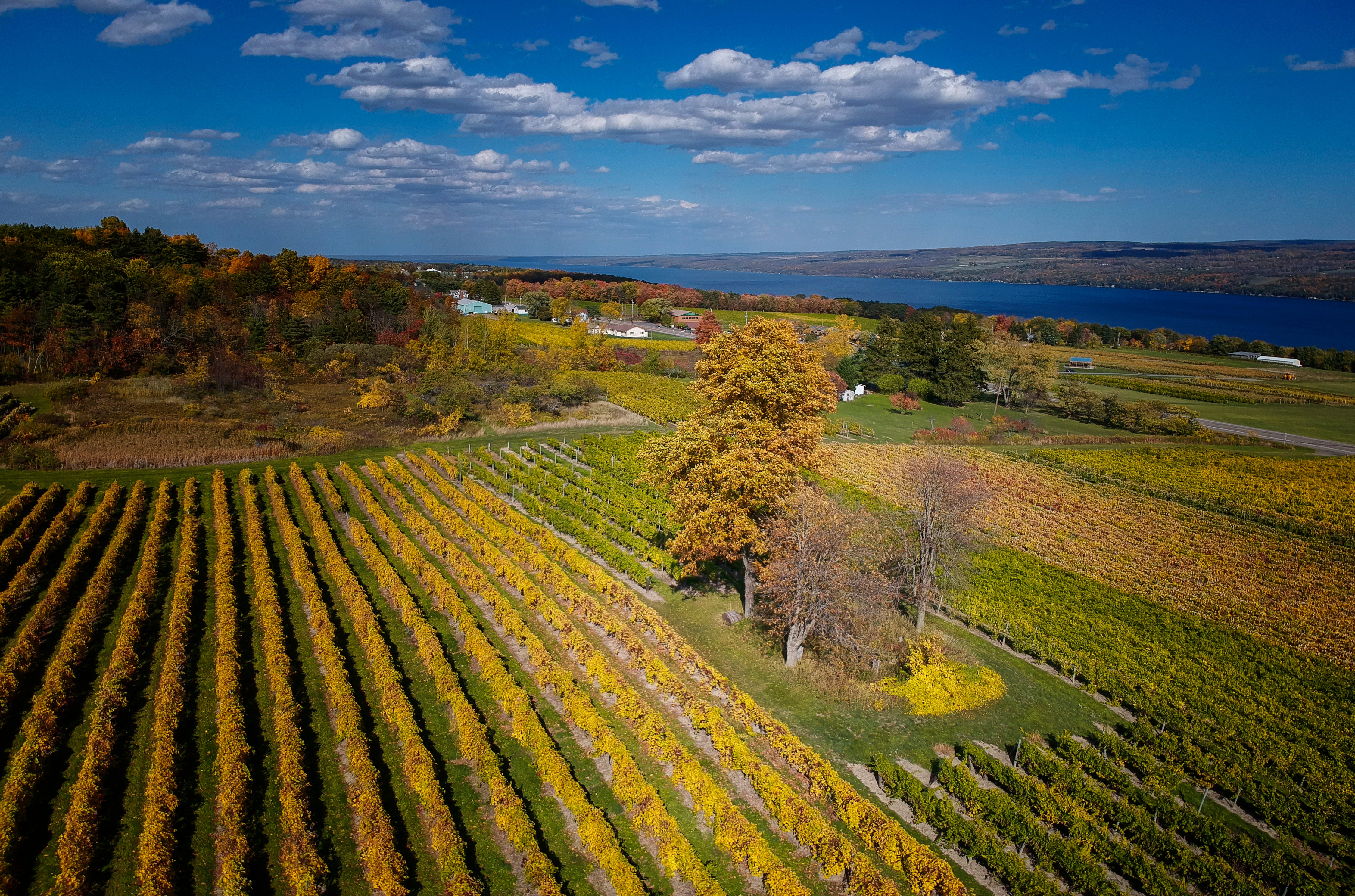 The Fulkerson Wine Story | Best Wineries on Seneca Lake