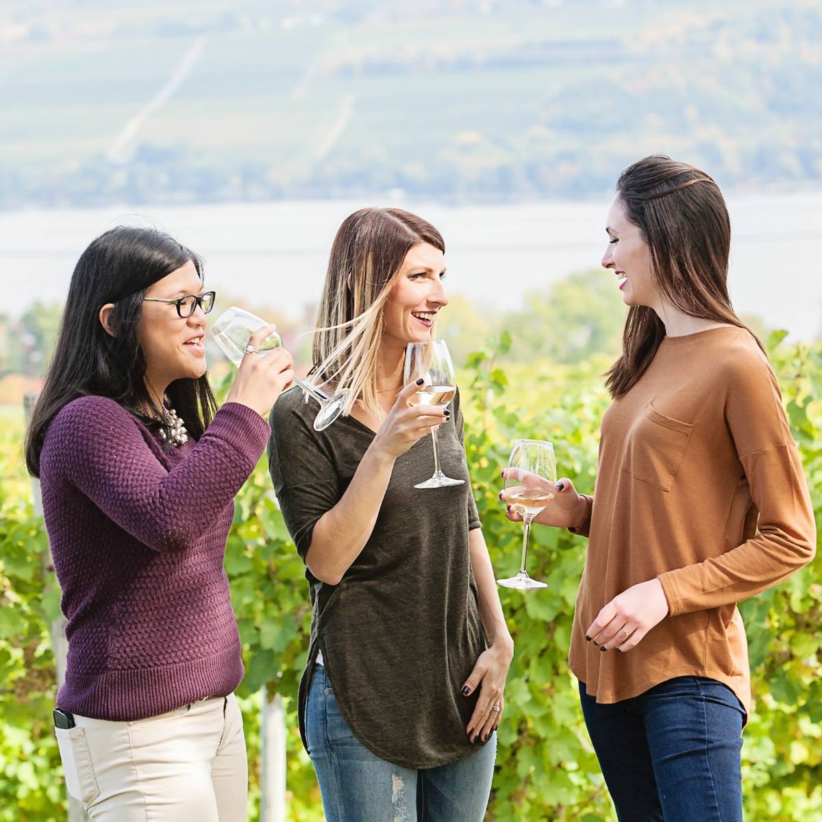 Three women in a vineyard clinking wine glasses.