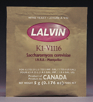 Brown packet of k1-v1116 yeast from Lalvin on a dark background
