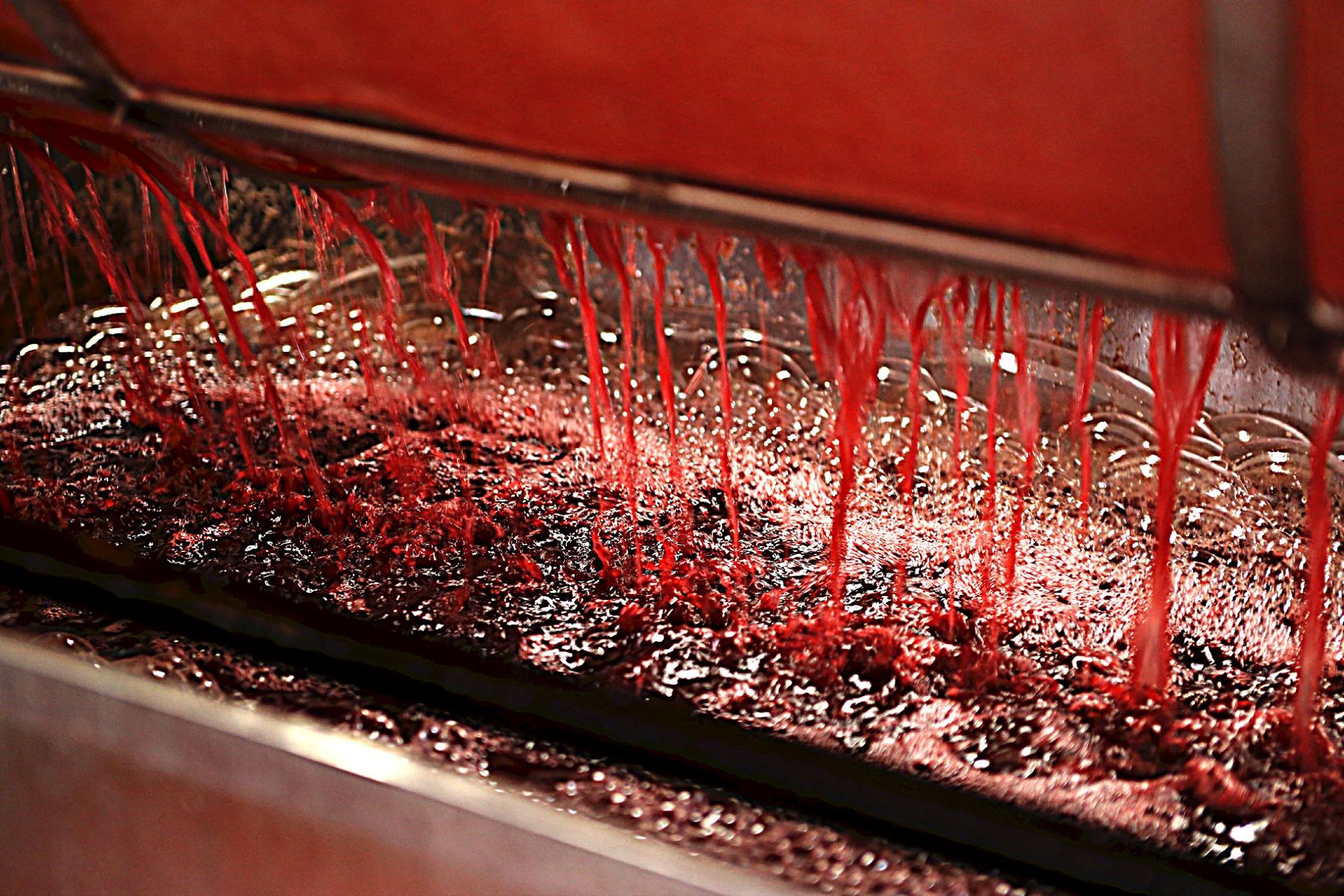 Wine press with falling red wine into a vat of liquid with a silver foreground