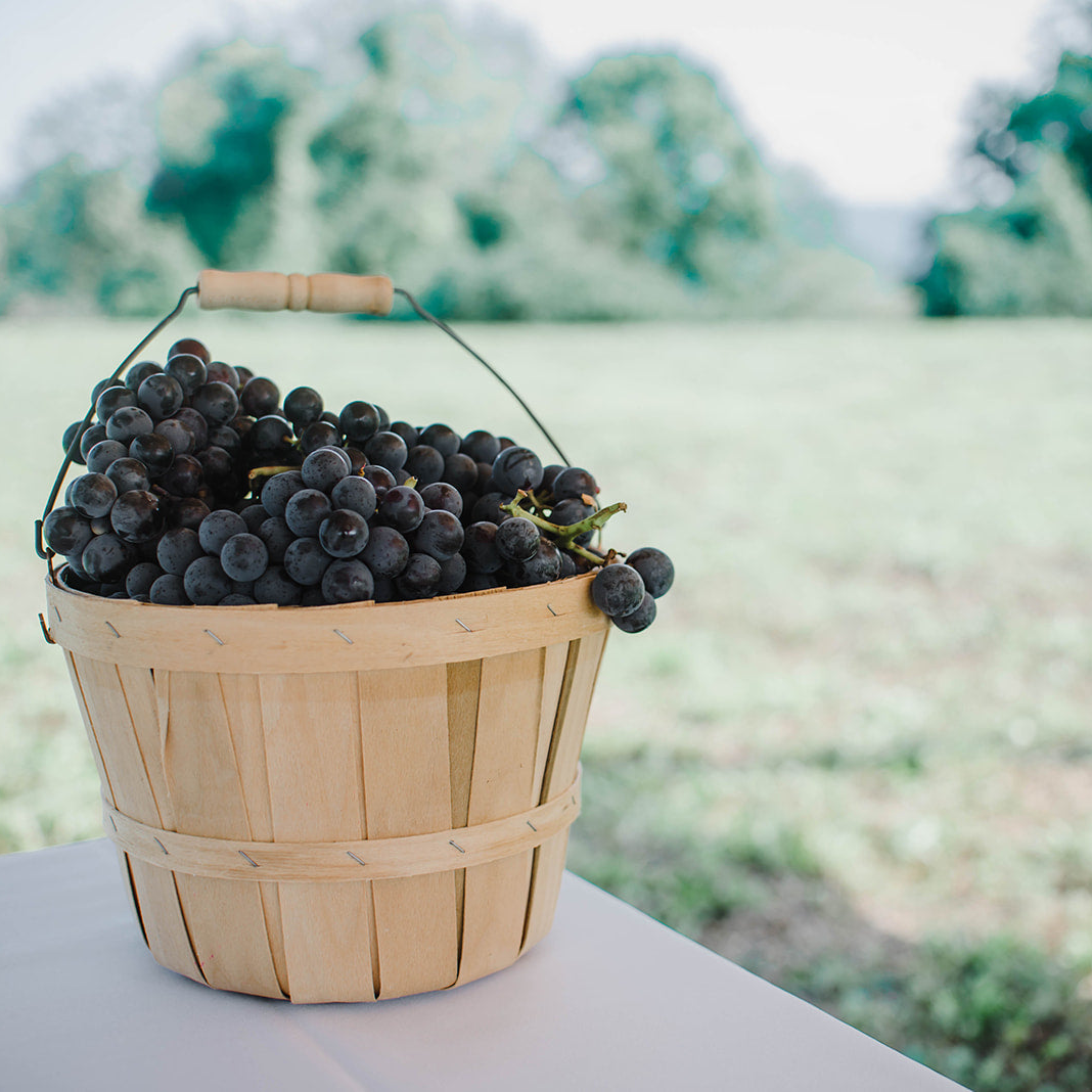 Basket of grapes on a table with a blurred outdoor background