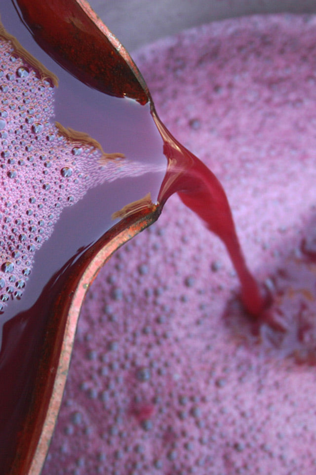 Vincent | U-Pick Grapes | Fulkerson Winery & Farm – Fulkerson