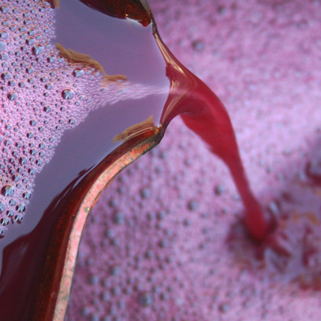 Close-up of red liquid being pressed onto a container