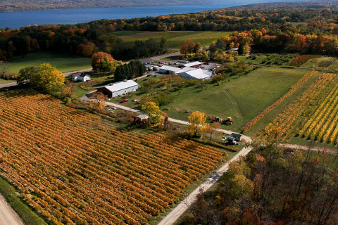 Fulkerson Tours & Tastings