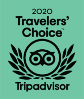 Tripadvisor 2020 Travelers' Choice Award Logo